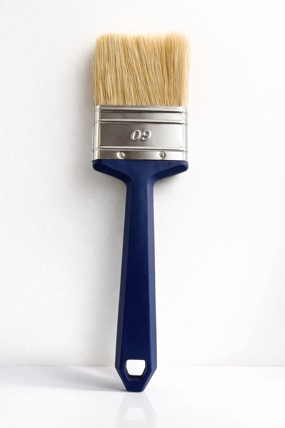 Professional Limewash Brush