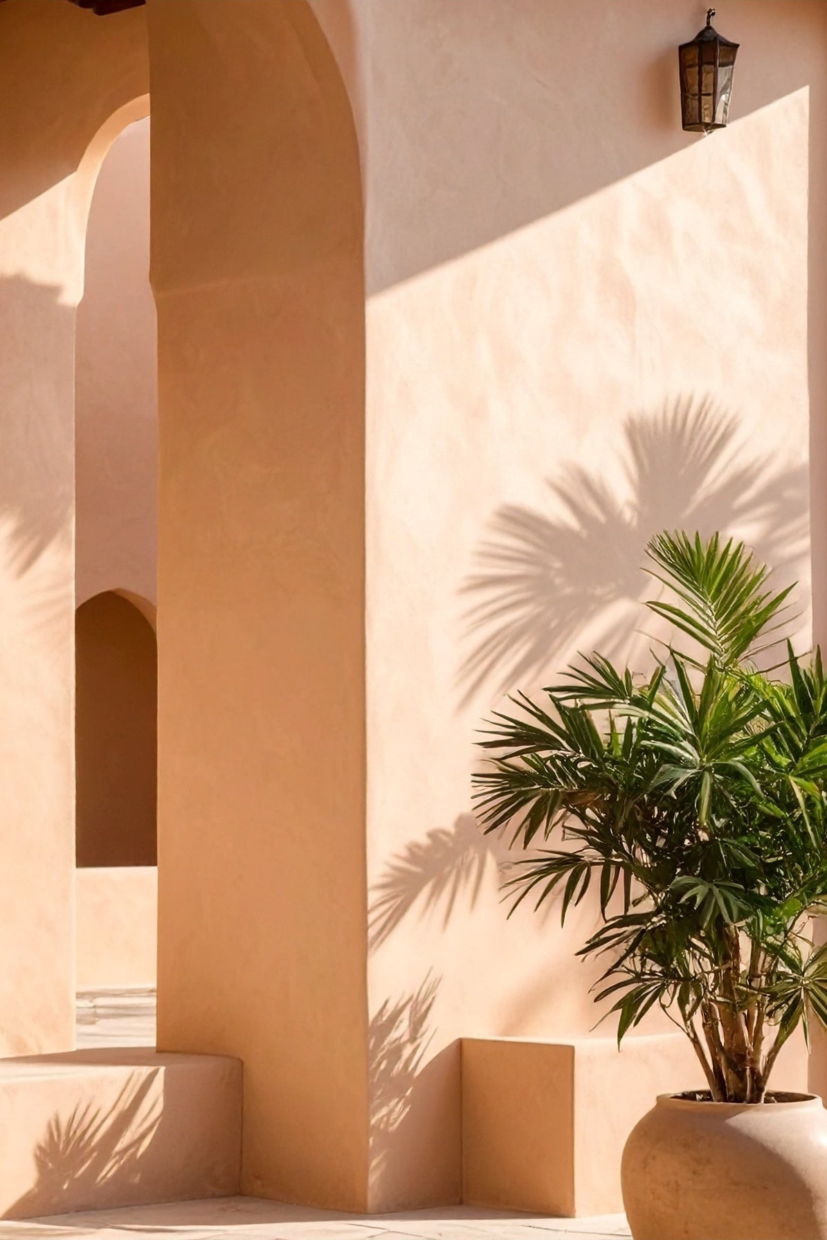 Petra - Limewash.com